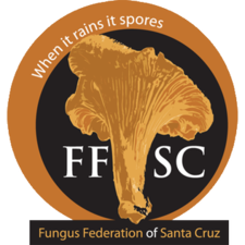 Fungus Federation of Santa Cruz